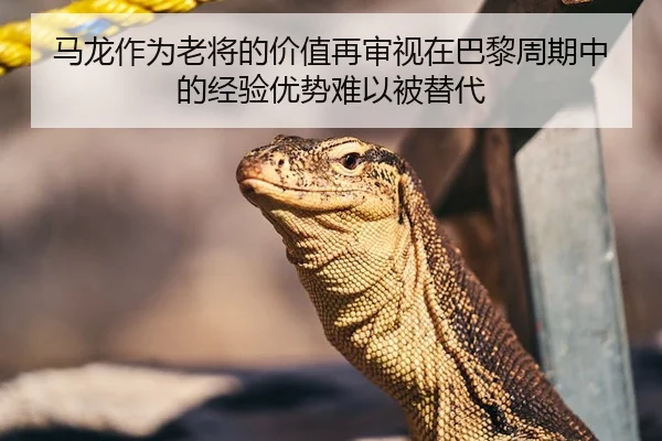 马龙作为老将的价值再审视在巴黎周期中的经验优势难以被替代
