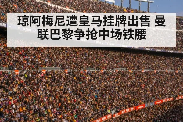 football stadium crowd