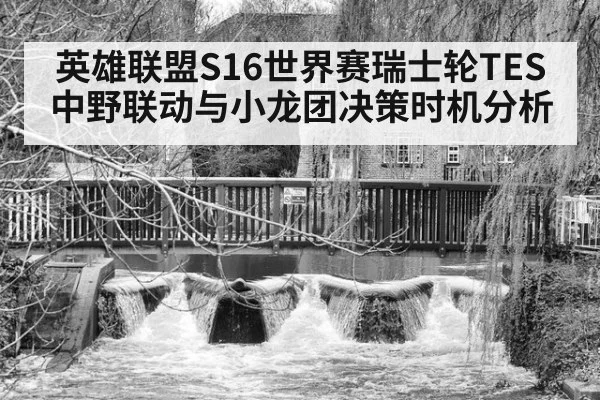英雄联盟S16世界赛瑞士轮TES中野联动与小龙团决策时机分析