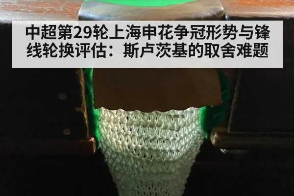 中超第29轮上海申花争冠形势与锋线轮换评估：斯卢茨基的取舍难题